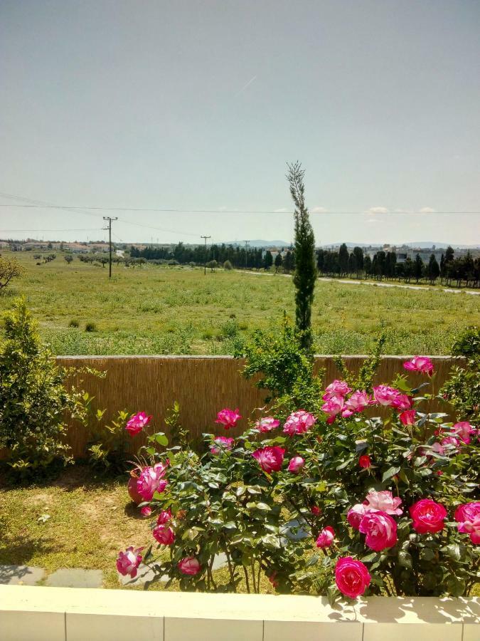 Studio Poseidonia Apartment 75Sqm Corinth Canal Zewnętrze zdjęcie